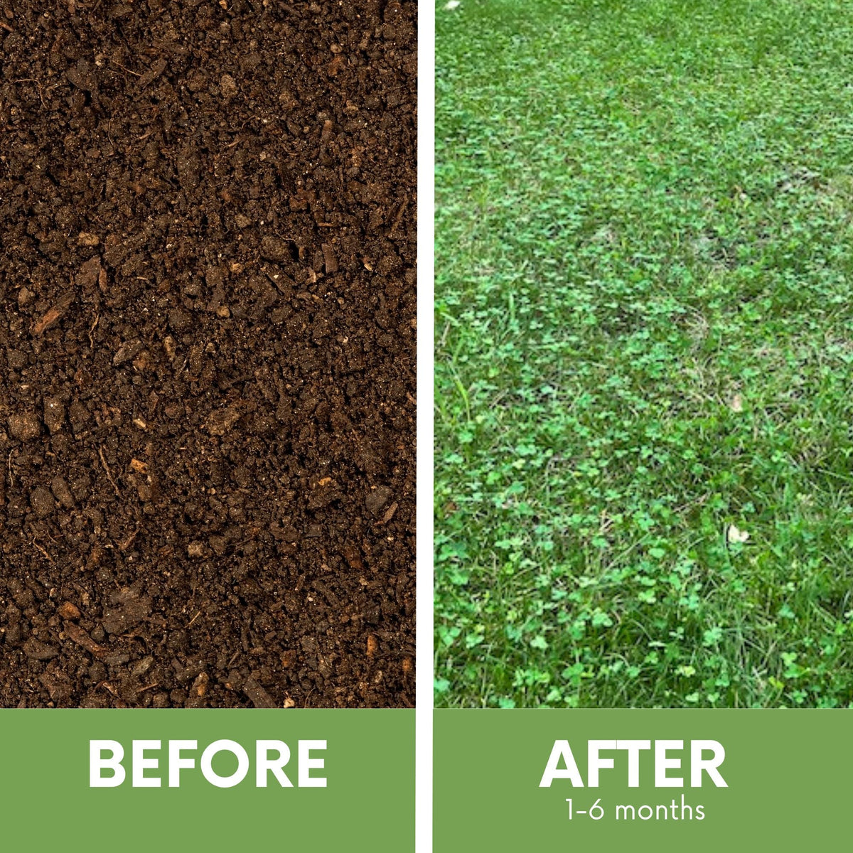 Micro Clover + Mow Less Grass Seed