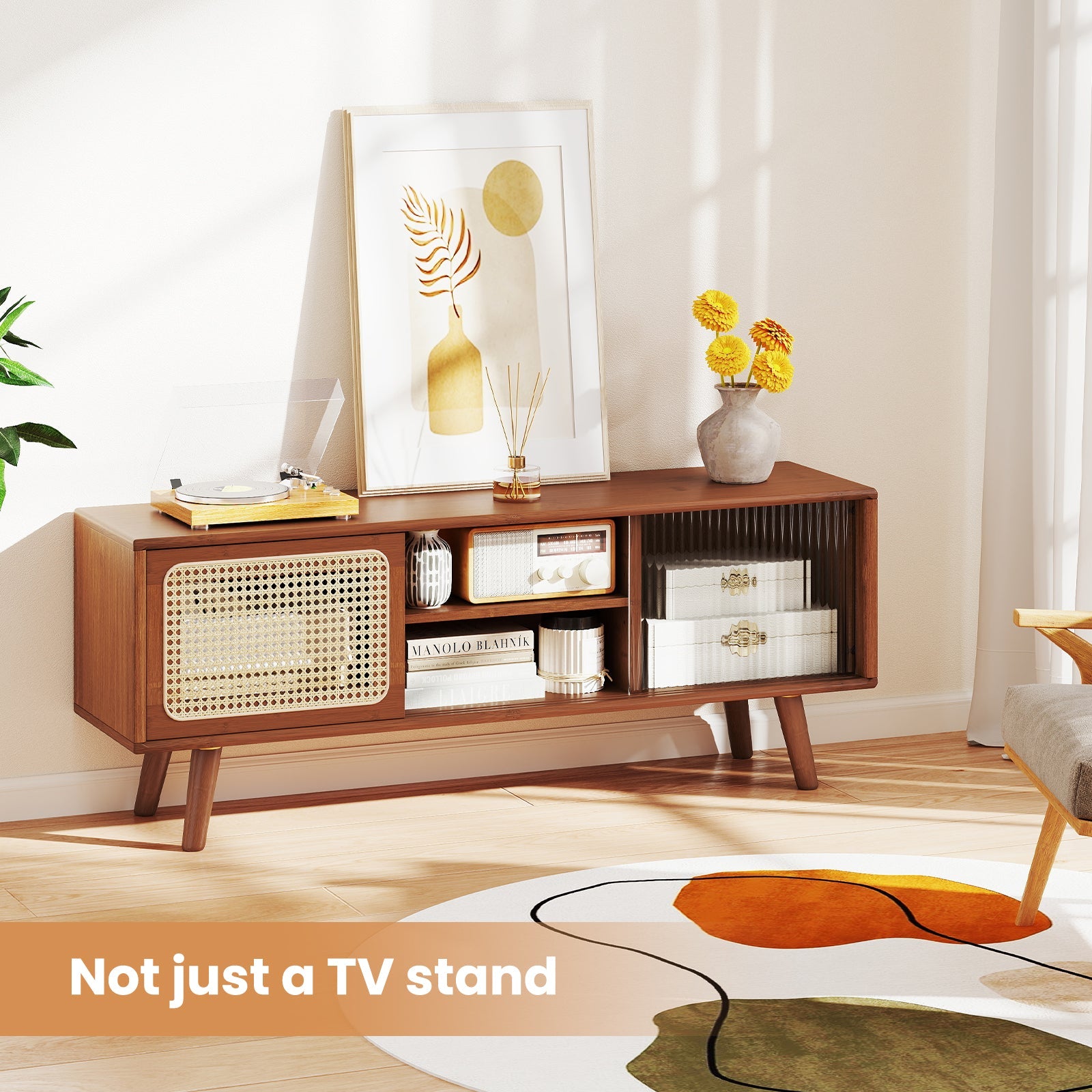Modern TV Stand with Rattan Glass Sliding Doors