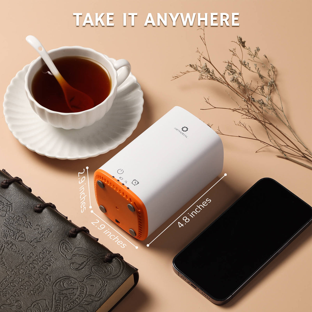 PA300-GO Portable Ozone Generator