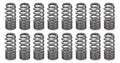 1.031 RPM Series Valve Springs - Beehive (16)