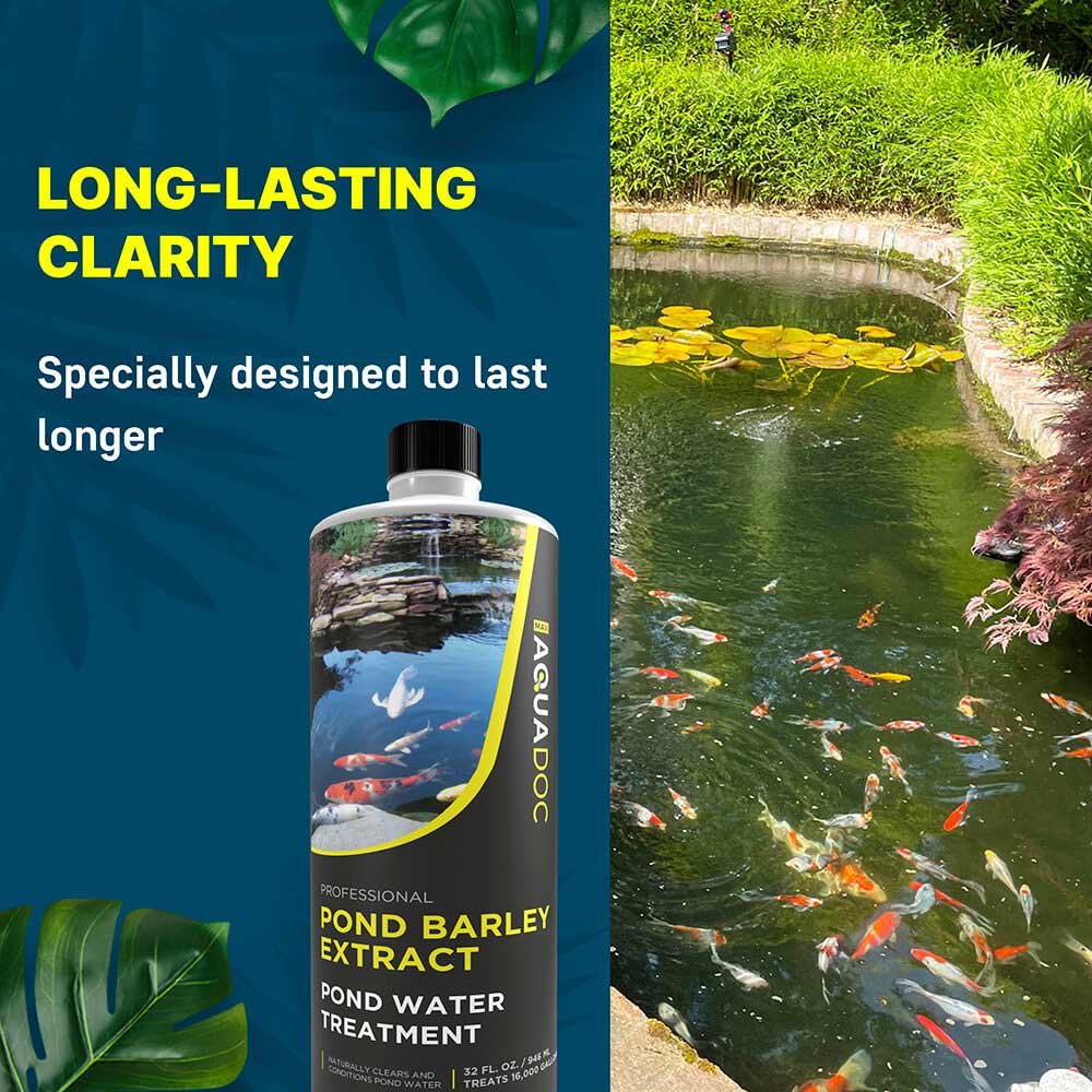 Pond Barley Extract
