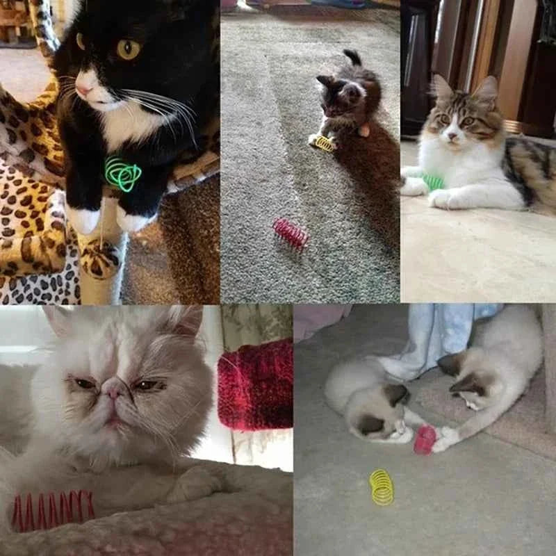 Colorful Cat Spring Toys – Durable Coil Play for Kittens