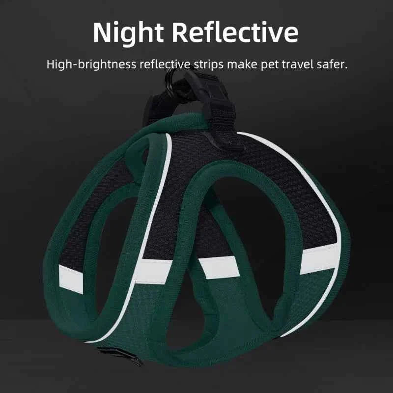 Adjustable Dog Harness & Leash Set for Small Dogs – Comfortable & Safe Walking Gear