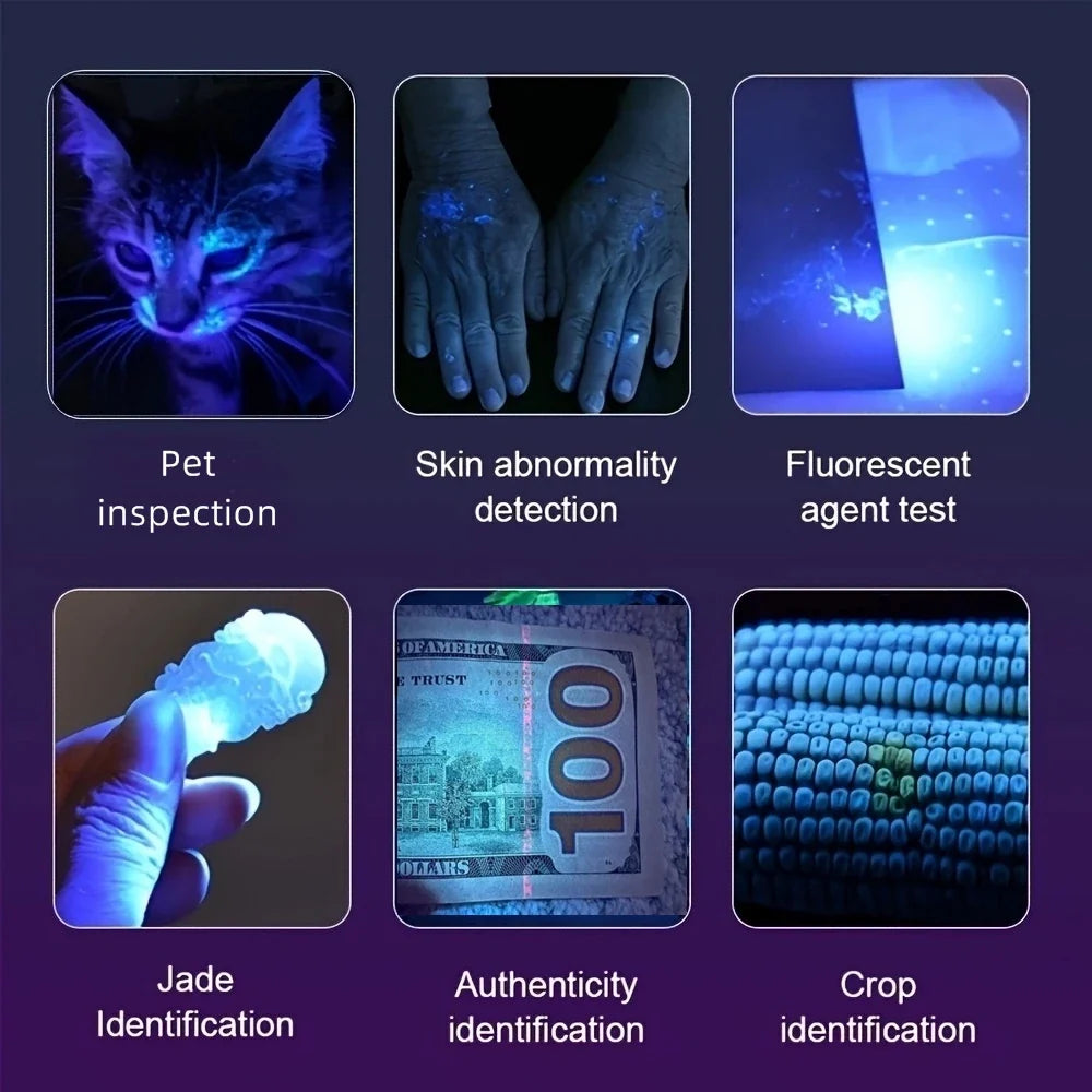 Mini 365nm/395nm Blacklight UV Flashlight | USB Rechargeable Pet Urine Detector