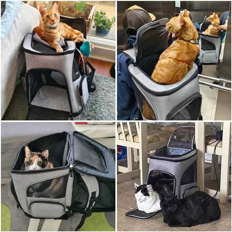 Expandable Pet Carrier Backpack – Travel Bag