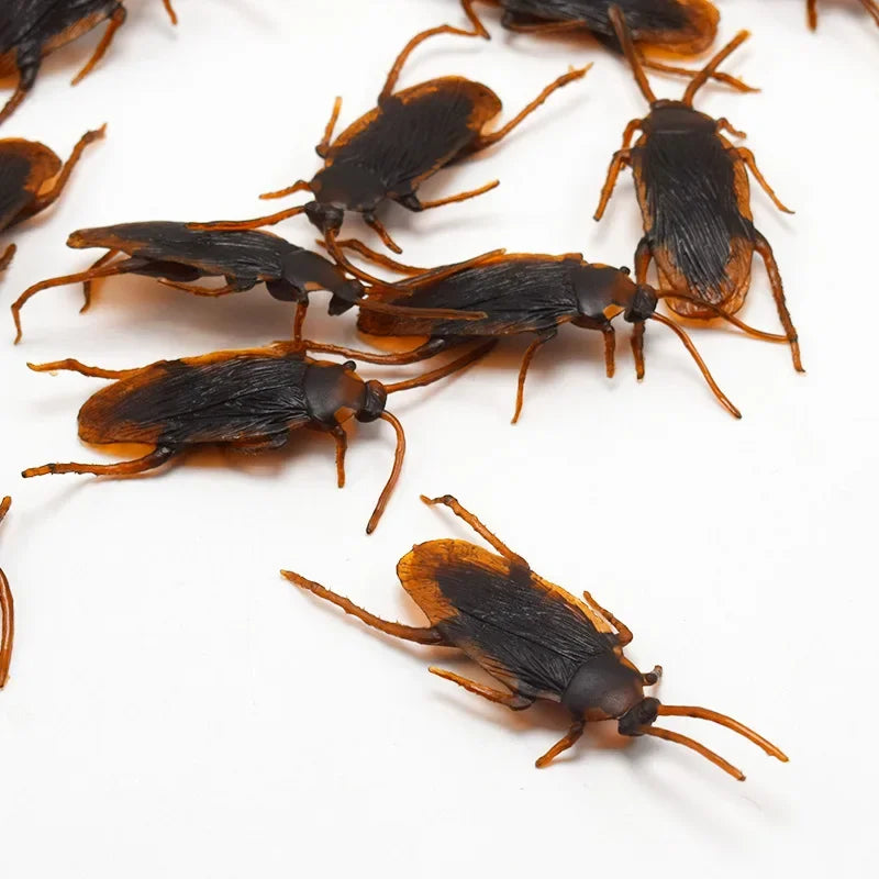 Lifelike Fake Cockroach Toy | Realistic Prank Joke Insect