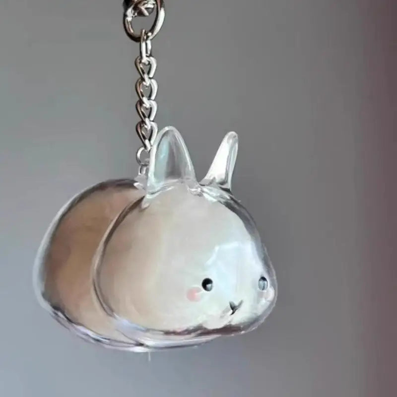 Cartoon Pet Hair Memorial Transparent Storage Box Keychain | Cute Animal Rabbit Fur Organizer Keychain Bag Pendant
