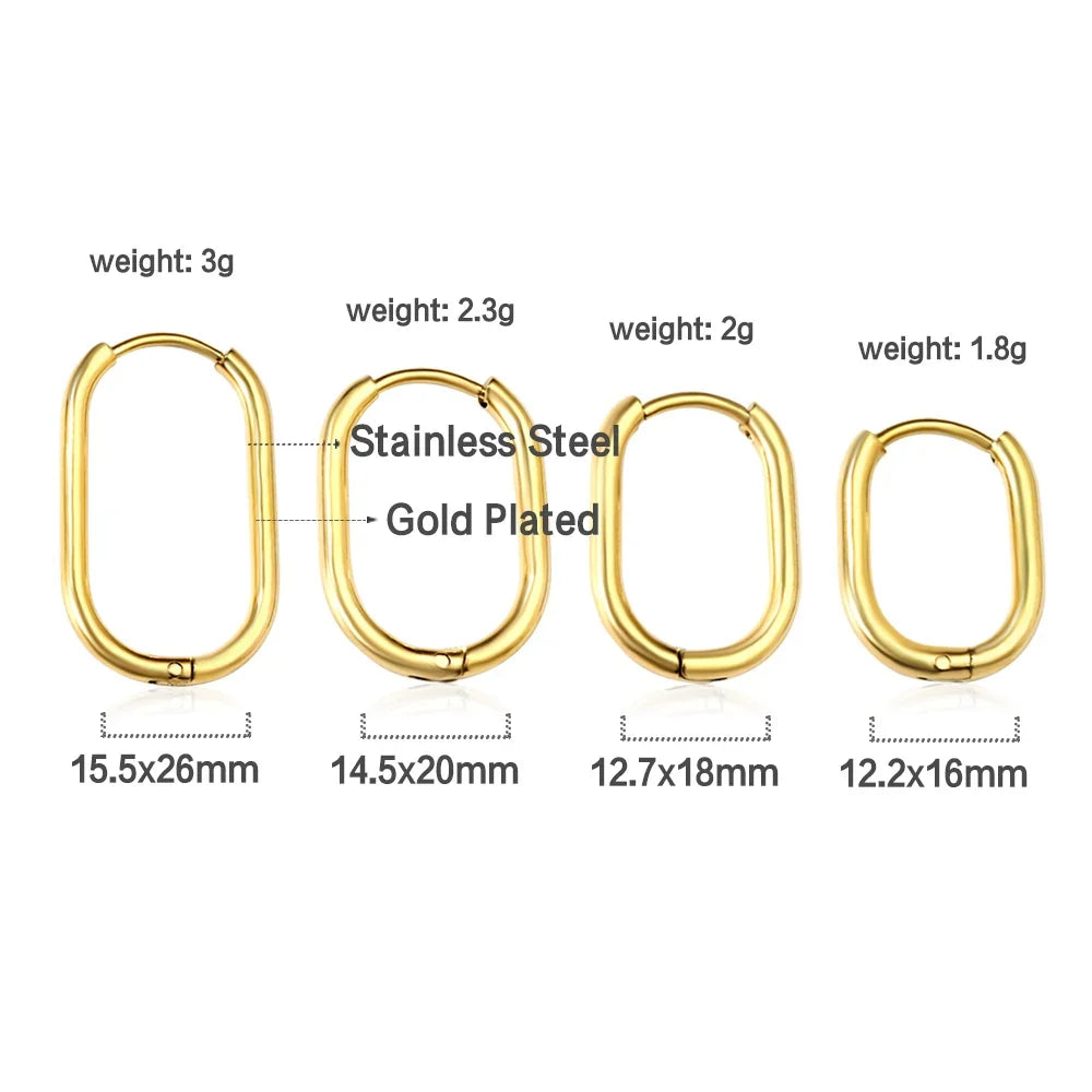 Stainless Steel Hoop Earrings for Women | Hypoallergenic Round Hinged Hoops - 12/14/16mm