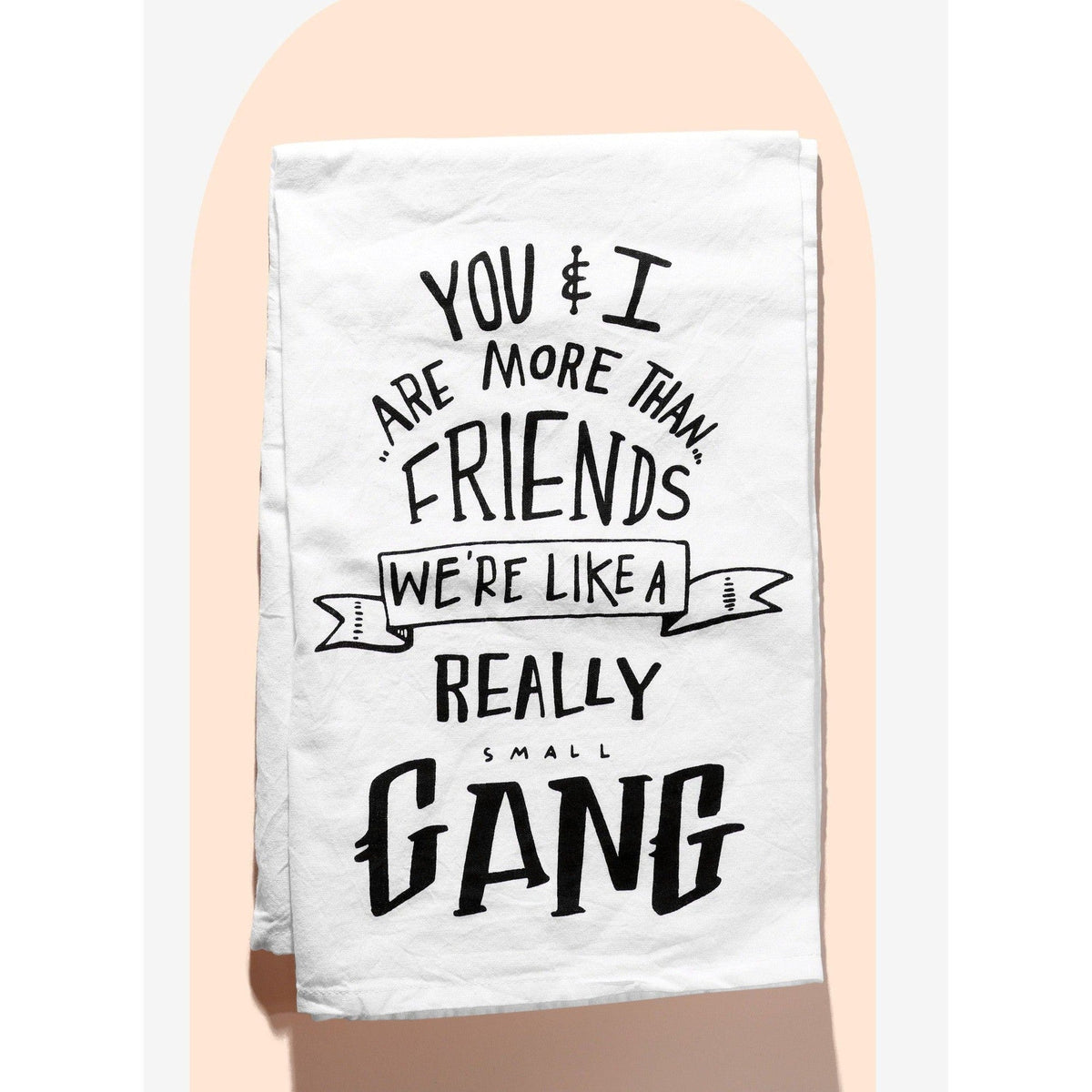 Set of 6 | You & I Are More Than Friends, We're Like a Really Small Gang Funny Snarky Dish Cloth Towel | Funny Tea Towel