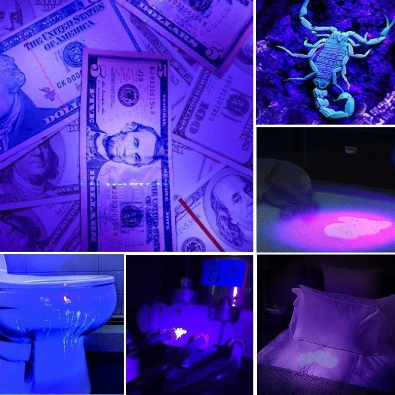 UV Flashlight 395nm | Black Light Detector for Pet Urine and Stains