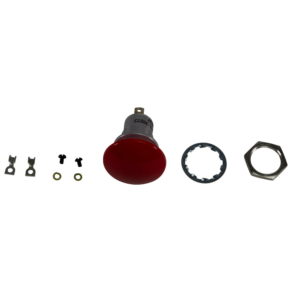Micro Switch w/BigButton - 387700