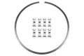 Snap Ring Kit w/Control Clips - 30012561