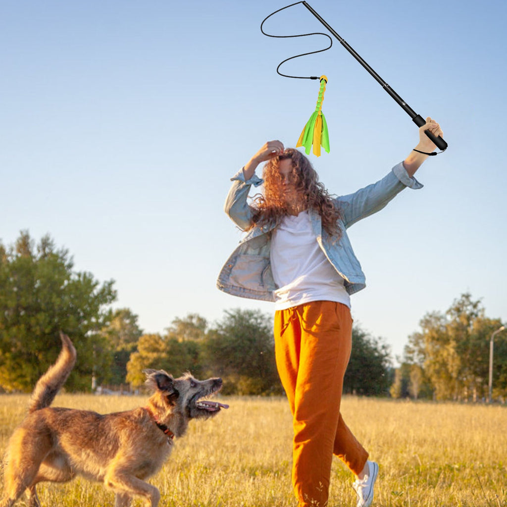 Extendable Dog Flirt Pole with Lure 10.23-26.77in Teaser Wand with 2 Replaceable Interactive Tail Toys For Small Medium Large Dogs Training Exercise T
