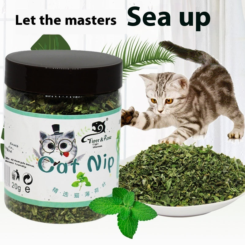 Catnip Tea Powder Depilation Ball 280ML