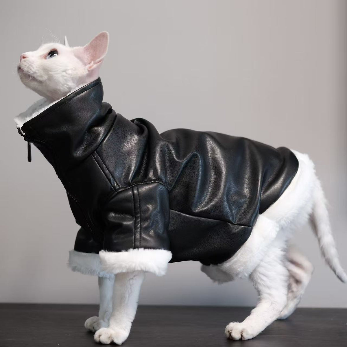 Thickened Coat Furless Cat Apparel Sphynx Cat Outfit Autumnwinter Style