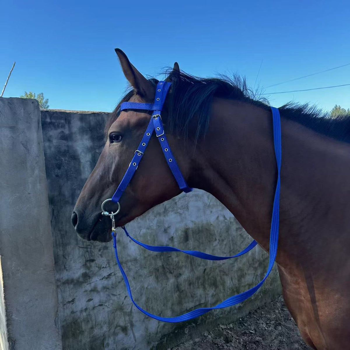 Horse Halter Rope Riding Hose Bridle Fiber