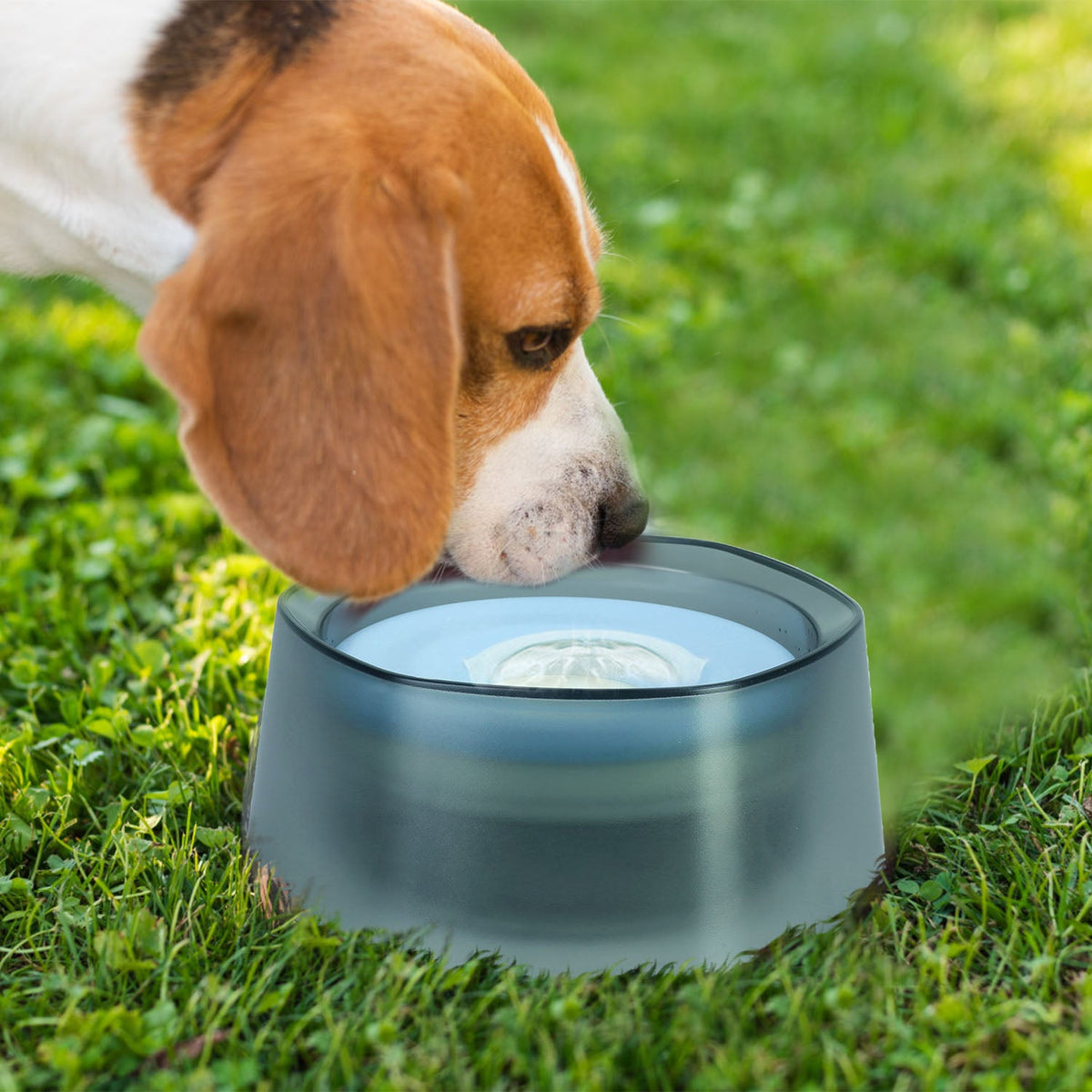 GBruno No Spill Dog Cat Water Bowl