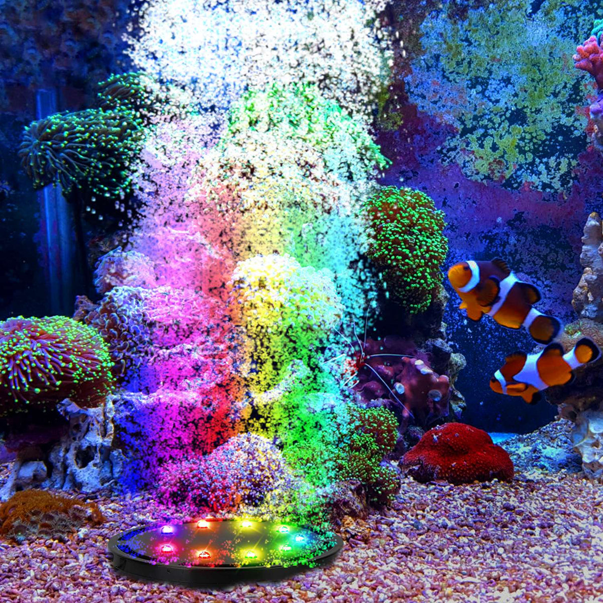 GBruno 4in LED Aquarium Air Bubble Lamp