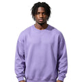 Thickened Crew Neck Sweatshirt