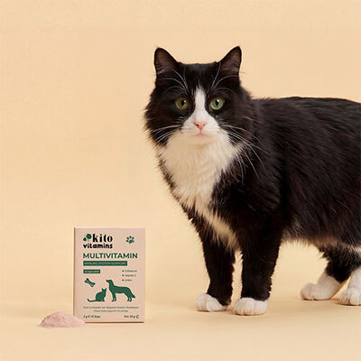 Kito Immune Support Multivitamin for Cats & Dogs 2x15g