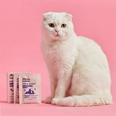 Kito Hip & Joint Multivitamin Powder for Cats & Dogs 2x15g