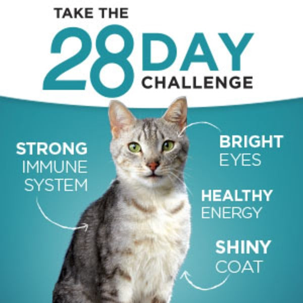 Purina ONE Urinary Tract Health, Natural Pate Wet Cat Food, Urinary Tract Health Beef & Liver Recipe