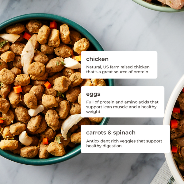 Freshpet Fresh Dog Food, Freshly Roasted Meals, Tender Chicken Recipe