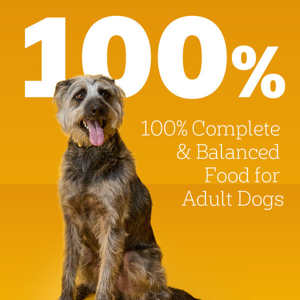 Pedigree Traditional Ground Dinner Chicken & Rice Wet Dog Food