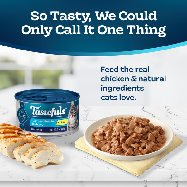 Blue Buffalo Tastefuls Natural Wet Food for Adult Cats, Flaked Chicken Entrée in Gravy