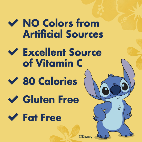 Betty Crocker Disney Stitch Gluten Free Fruit Flavored Snacks
