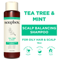 Soapbox Tea Tree & Mint Scalp Balancing Shampoo for Oily Hair