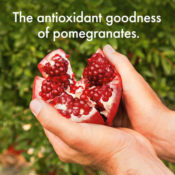POM Wonderful Super Tea, Pomegranate Honey Green Tea