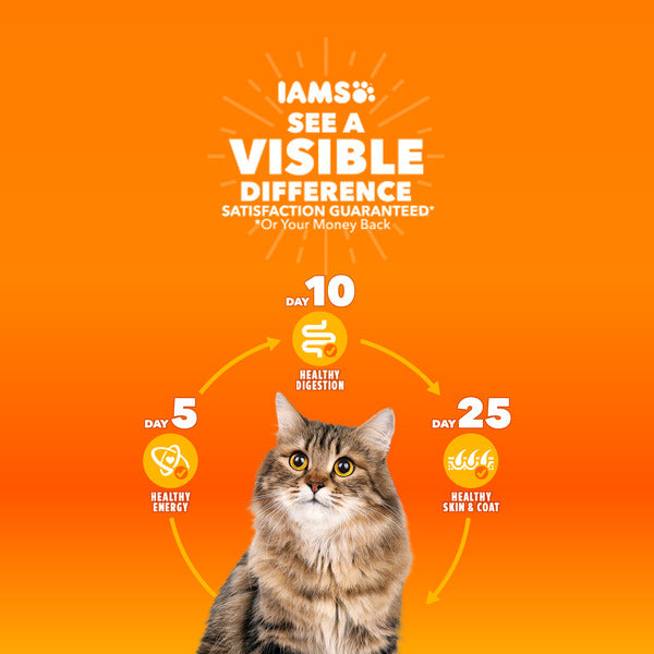 IAMS PROACTIVE HEALTH Healthy Senior Dry Cat Food with Chicken Cat Kibble, 3.5 lb. Bag