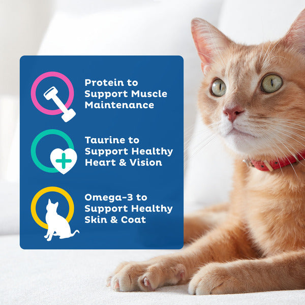 9Lives Daily Essentials Dry Cat Food for Adult Cats with Chicken, Beef & Salmon Flavors, 12 lb. Bag