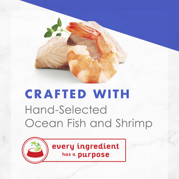 Purina Fancy Feast Wet Cat Food Complement, Appetizers Oceanfish With a Shrimp Topper in Broth