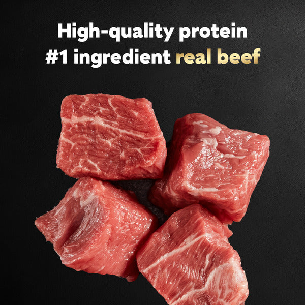 Cesar Filet Mignon Flavor & Porterhouse Steak Classic Loaf in Sauce Variety Pack