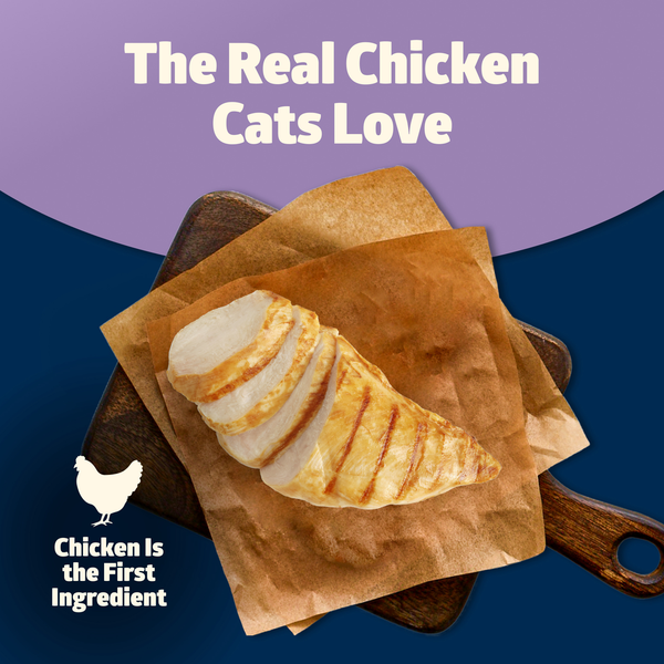 Blue Buffalo Freedom Grain Free Natural Adult Pate Wet Cat Food, Indoor Chicken