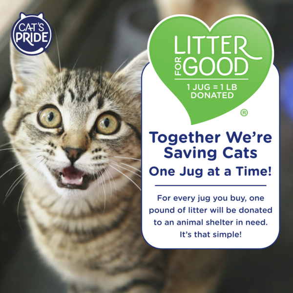 Cat's Pride Lightweight Clumping Litter: Baking Soda, Scented