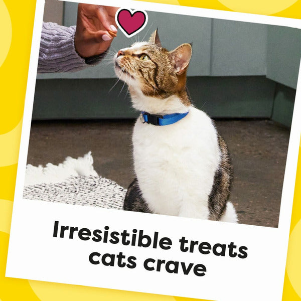 TEMPTATIONS Classic Crunchy and Soft Cat Treats Seafood Medley Flavor
