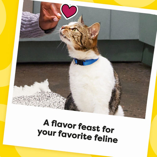 TEMPTATIONS MixUps Crunchy and Soft Cat Treats Backyard Cookout Flavor