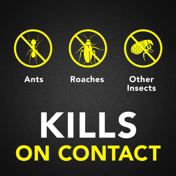 Raid® Ant and Roach Killer Insecticide Aerosol Spray, Outdoor Fresh® Scent