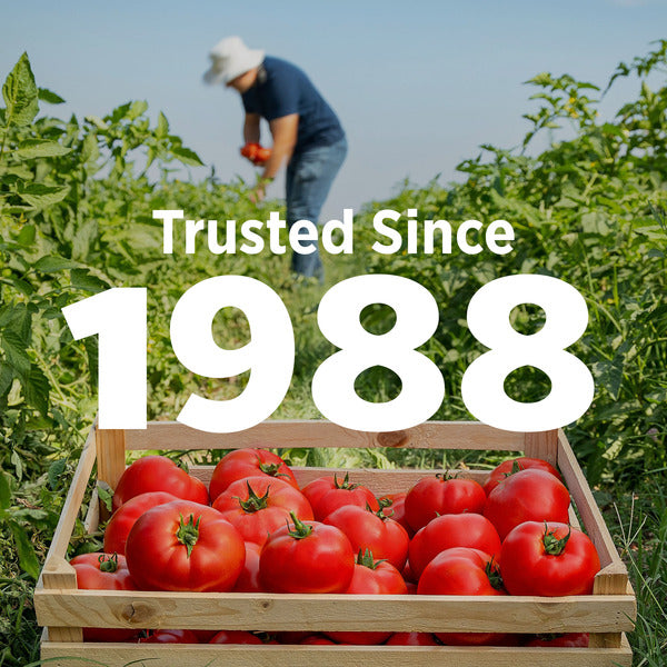 Hunt's Stewed Tomatoes