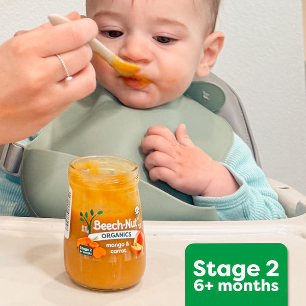 Beech-Nut Stage 2 Baby Food, Banana, 4 oz Jar