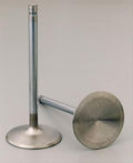 VALVE- INTAKE