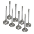 VALVE SET SS BBC