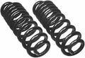 COIL SPRING PAIR