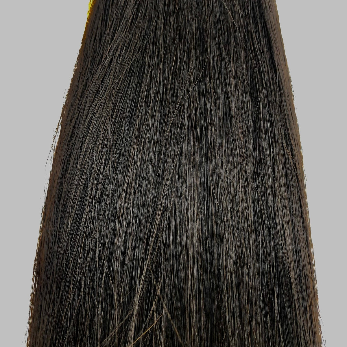 Narcia Remy Siberian - Micro Ring - 24"