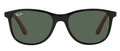 Ray-Ban 9077S 7131/71 Classic Black Sunglasses 49mm