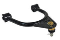 CAMBER/CASTER ARM