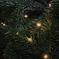 Christmas Lights (Scented Beads)